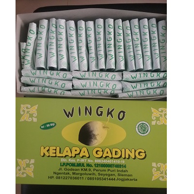 Wingko Kelapa Gading Kardus Hijau Isi 12 Gambar 1